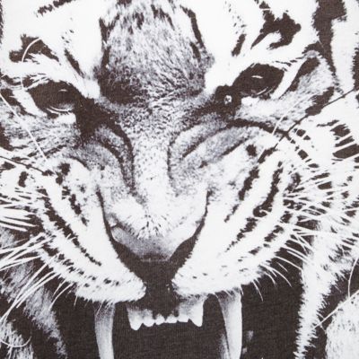 Boys white tiger print t-shirt